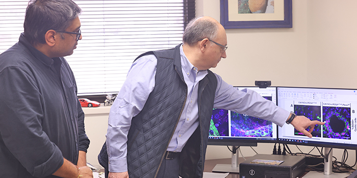 Cell Biology researchers examining microscopy images of primary cilia in a laboratory